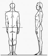 Posture and rear side views