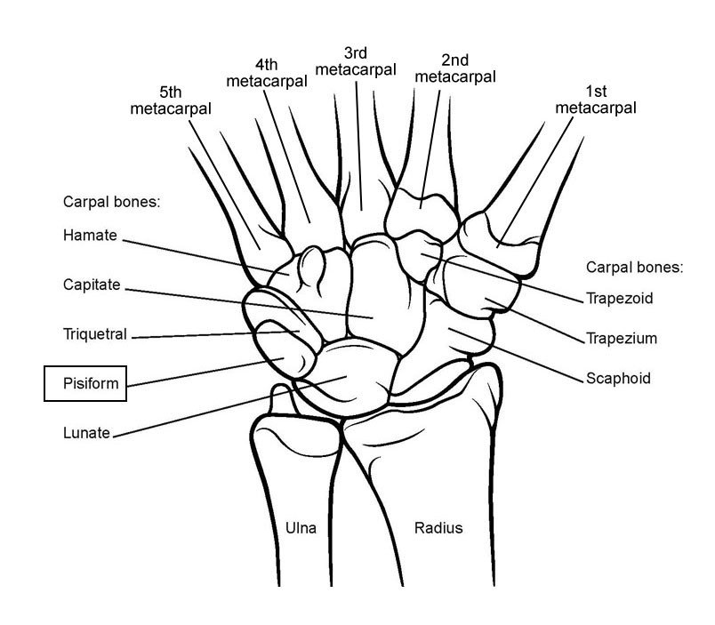 Physiotherapy for Wrist Fractures